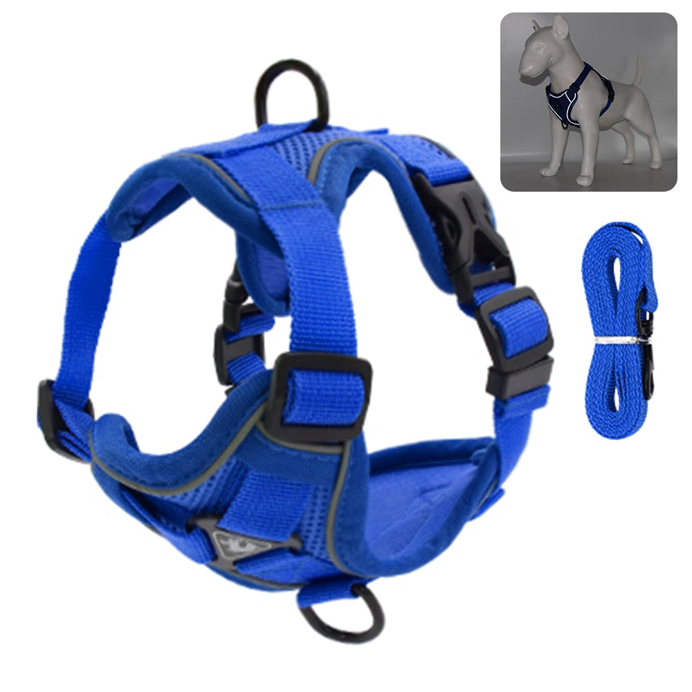 Coleira Para Gatos Para Caminhadas