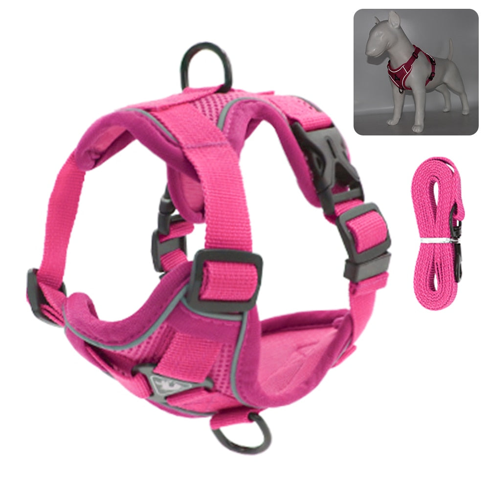 Coleira Para Gatos Para Caminhadas