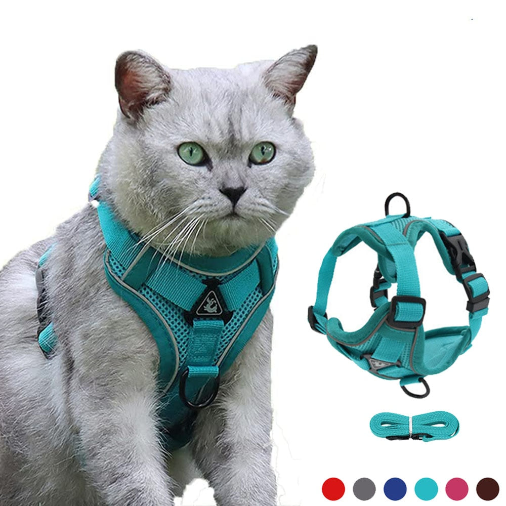 Coleira Para Gatos Para Caminhadas